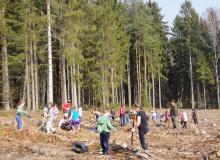 „1000 drzew na minutę”  - akcja sadzenia lasu w Bobolicach