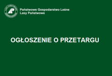 „Wykonywanie usług z zakresu gospodarki leśnej na terenie Nadleśnictwa Bobolice  w roku 2025”